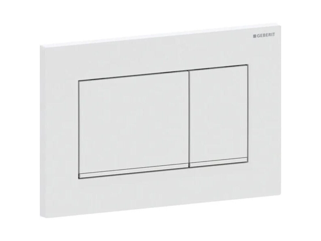 Geberit Sigma20 kampuotas dviejų kiekių vandens nuleidimo mygtukas 115.883 9
