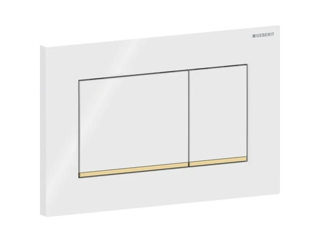 Geberit Sigma20 kampuotas dviejų kiekių vandens nuleidimo mygtukas 115.883 4