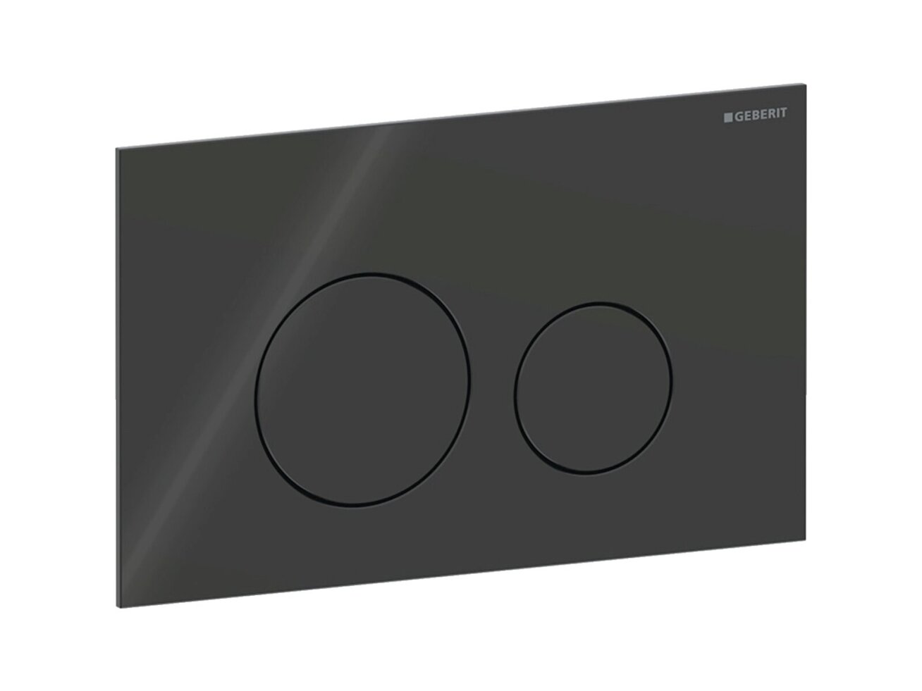 Geberit Sigma40 apvalus dviejų kiekių vandens nuleidimo mygtukas 115.628 11