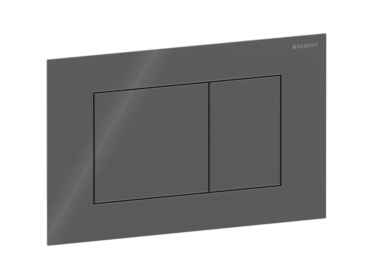 Geberit Sigma40 kampuotas dviejų kiekių vandens nuleidimo mygtukas 115.629 5