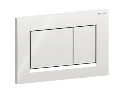 Geberit Sigma20 kampuotas dviejų kiekių vandens nuleidimo mygtukas 115.883 5